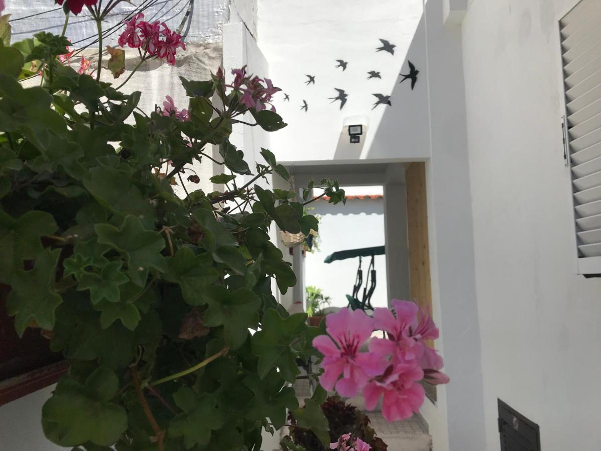 칼다스하이냐 Casa Dos Capinha 빌라 외부 사진